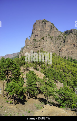 La ridge Palma, Kanarische Inseln - La Cumbrecita, Mountain Nationalpark-Gebiet. Stockfoto