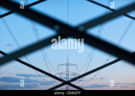 (Dpa-Datei) - ein Datei-Bild datiert 5. März 2010 zeigt einen Pylon und macht Linien unter den Abendhimmel in Briesen, Deutschland. Hunderte von Vögel sterben durch Stromschlag jedes Jahr. Foto: Patrick Pleul Stockfoto