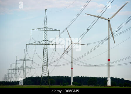 (Dpa-Datei) - ein Datei-Bild vom 5. März 2010 zeigt Masten, Stromleitungen und Windenergieanlagen in Peitz, Deutschland. Hunderte von Vögel sterben durch Stromschlag jedes Jahr. Foto: Patrick Pleul Stockfoto