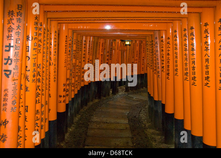 Torii am Fushimi Inari-Taisha Schrein, Kyoto, Japan Stockfoto