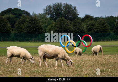 Schafe weiden an der Olympia Rudern und Kanu Veranstaltungsort in Eton Dorney in London, Vereinigtes Königreich, 21. Juli 2012 vor Olympischen Ringen. Die Olympischen Spiele 2012 in London wird am 27. Juli 2012 beginnen. Foto: Michael Kappeler dpa Stockfoto