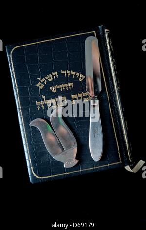 Instrumente in der jüdischen religiösen Beschneidung Zeremonie Brit Milah, ein Messer und ein Vorhaut zu schützen, legen Sie sich auf ein jüdisches Gebetbuch in den Räumen der israelischen Kultusgemeinde in Hof, Deutschland, 26. Juli 2012. Foto: David Ebener Stockfoto