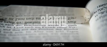 Ein Messer in die jüdische Beschneidung Zeremonie verwendet markiert den deutschen Satz "unter euch beschnitten werden", ein Auszug aus dem ersten Buch Mose (Kapitel 17) des alten Testaments, in den Räumen der israelischen Kultusgemeinde in Hof, Deutschland, 26. Juli 2012. Kapitel 17 Staaten die Regeln für die Beschneidung. Foto: David Ebener Stockfoto
