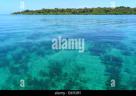 Transparente und ruhiges Wasser im Karibischen Meer mit solarte Insel im Hintergrund, Bocas del Toro, Panama Stockfoto