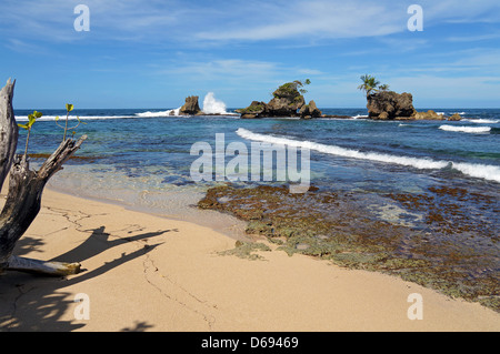 Tropischer Strand mit Welle stürzt auf felsigen Inseln, Karibik, Bocas del Toro, Panama Stockfoto