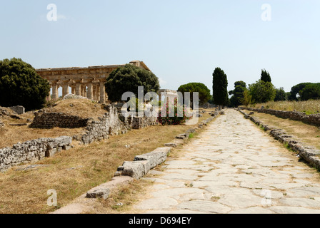 Paestum.Italy. das monumentale Straße Via Sacra oder Heiligen Weg geebnet die ursprünglich mit Kolonnaden Säulenhallen gesäumt war Stockfoto