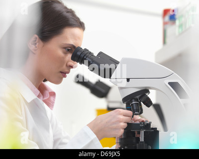 Wissenschaftler mit Mikroskop im Labor Stockfoto
