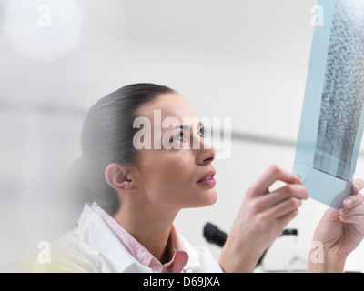 Wissenschaftler untersuchen DNA-Sequenzierung gel Stockfoto