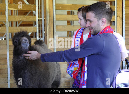 Baktrischen Kamel (Camelus Bactrianus) Junge namens Victor nach FC Viktoria Plzen-Club mit dem Spieler Marek Bakos und seine Tochter Laura während einer Taufe in Pilsen, Tschechische Republik, 15. April 2013 gesehen. (CTK Foto/Petr Eret) Stockfoto