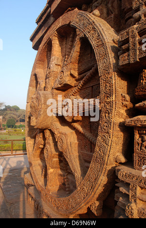 Stein Schnitzen von Chariot-Rad am Sonnentempel von Konark, Orissa, Indien Stockfoto