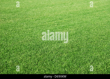 Hintergrund der perfekte Abkürzung grünen Golf Rasen Stockfoto