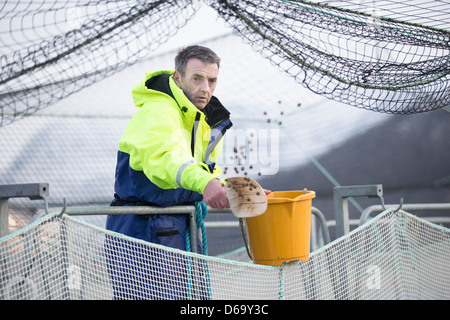 Arbeiter auf Lachsfarm im ländlichen See Stockfoto