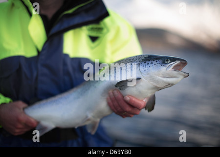 Arbeiter mit Lachs ländlichen See Stockfoto