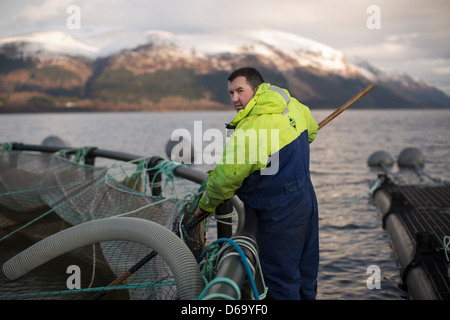 Worker bei Lachsfarm im ländlichen See Stockfoto