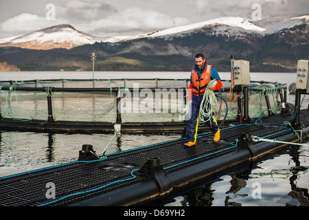 Worker bei Lachsfarm im ländlichen See Stockfoto