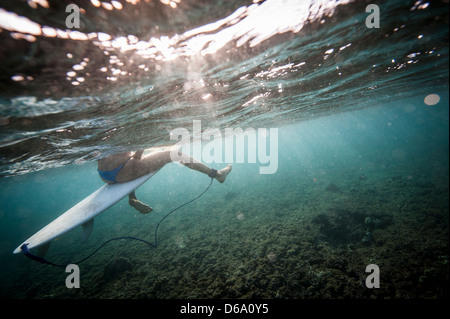 Surfer im Wasser an Bord sitzen Stockfoto