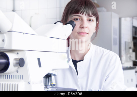 Wissenschaftler mit Mikroskop im Labor Stockfoto
