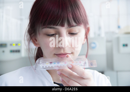 Wissenschaftler untersuchen Proben im Labor Stockfoto