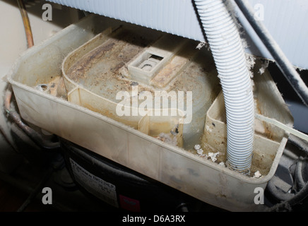 Verdreckter, muffiger, schimmeliger Kühlschrank kondense Wasser Verdampfer Pfanne Stockfoto