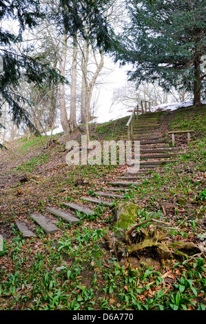 Wald-Wanderweg aus hölzernen Schienen Schwellen hergestellt dreht seinen Weg eine kleine Steigung. Stockfoto