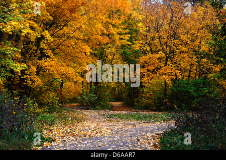 Der Titel enthält anscheinend nicht-englische oder beschädigte Zeichen, was weitere Klarstellungen oder Kontext erfordert, um eine genaue Beschreibung und Beschriftung zu liefern. Stockfoto