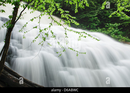 FRÜHLING TORRENT KÜCHE CREEK RICKETTS GLEN STATE PARK LUZERNE COUNTY PENNSYLVANIA USA Stockfoto