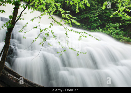 FRÜHLING TORRENT KÜCHE CREEK RICKETTS GLEN STATE PARK LUZERNE COUNTY PENNSYLVANIA USA Stockfoto