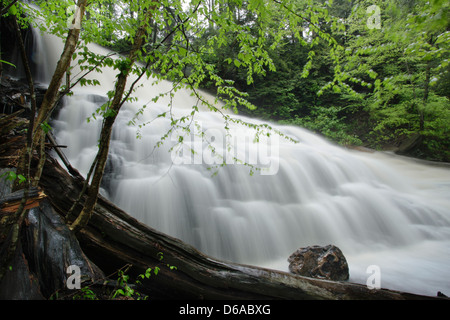 FRÜHLING TORRENT KÜCHE CREEK RICKETTS GLEN STATE PARK LUZERNE COUNTY PENNSYLVANIA USA Stockfoto