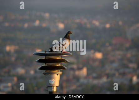 Lviv, Ukraine, Blick vom Wysokyi Samok bei Sonnenaufgang Stockfoto