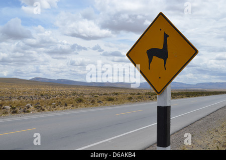 Lama-Kreuzung-Wegweiser auf der Autobahn in der Nähe von Arequipa, Peru Stockfoto