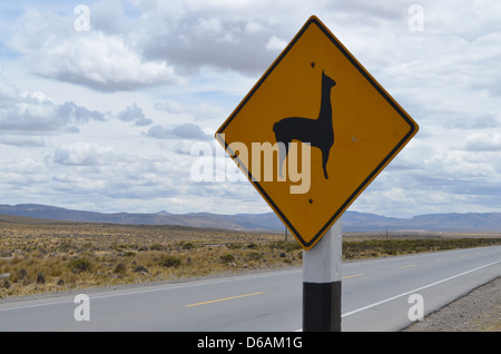 Lama-Kreuzung-Wegweiser auf der Autobahn in der Nähe von Arequipa, Peru Stockfoto