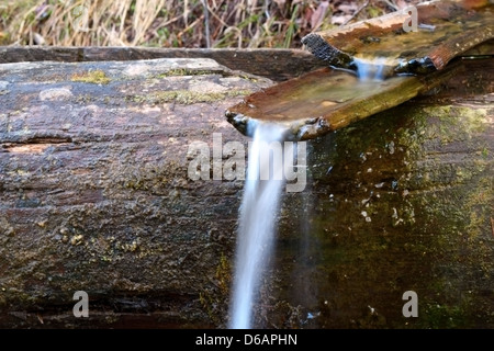 hölzernen Kanal für Wasser bei einer Quelle in den Bergen Stockfoto