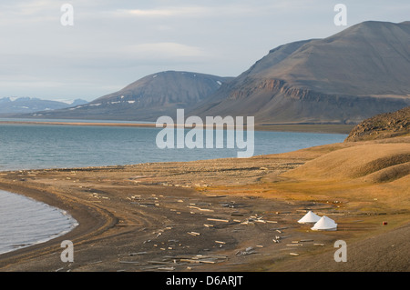 Norwegen, Svalbard-Archipel, Spitzbergen, Sassenfjorden. Sommer Backcountry Campingplatz mit Zelten entlang der Küste. Stockfoto