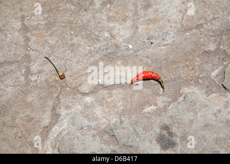 Hot Chili Stockfoto