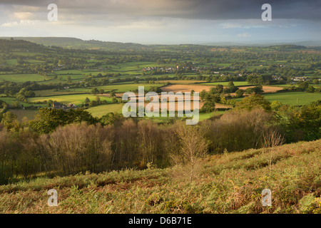 Morgenlicht schlagen Culm Tal in Devon, England. Stockfoto