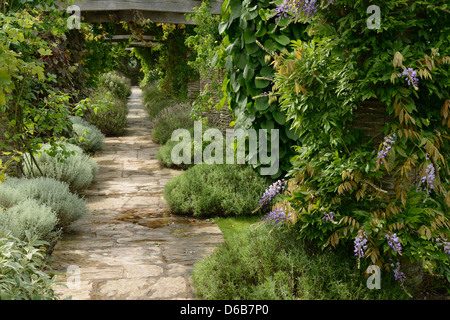 Ein gepflasterter Weg durch die Gärten von Hestercombe, Somerset, UK. Stockfoto