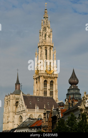 Kathedrale unserer lieben Frau, Antwerpen, Belgien Stockfoto