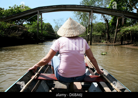 Mangroven in Vietnam Stockfoto