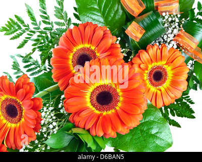 Bouquet von Gerbera Stockfoto