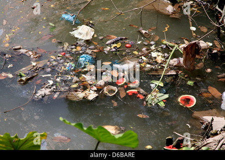 Müll im Fluss Stockfoto