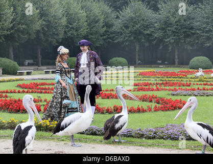 Gekleidet in Rokoko-Kostümen, die Akteure zu durch den Park des Schlosses Friedrichsfelde in Berlin, Deutschland, 25. August 2012 Fuß. Das Rokoko Festival im Palazzo findet anlässlich des Jubiläumsjahres Friedrich der große, der in Potsdam vor 300 Jahren geboren wurde. Foto: STEPHANIE PILICK Stockfoto