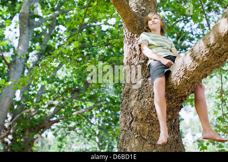 Lächelnde junge sitzt im Baum Stockfoto