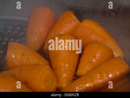 Karotten Kochen in Elektro-Dampfgarers Stockfoto