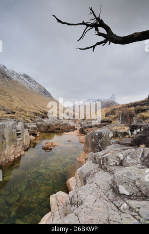 Skelett Ast über dem Fluß Etive, Glen Etive, Schottisches Hochland, Schottland Stockfoto