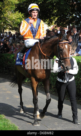 Danedream Rennpferd mit Jockey Andrasch Starke vor der badischen Grand Prix während der "Grosse Woche von Baden" (Woche der Rennen von Baden) auf der Pferderennbahn in Iffezheim, Deutschland, 2. September 2012 präsentiert. Sie fuhr fort, um das Rennen zu gewinnen. Foto: ULI DECK Stockfoto