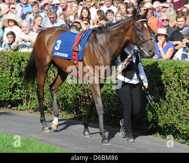 Rennpferd Danedream ist vor dem Grand Prix Baden während der "Grosse Woche von Baden" (Woche der Rennen von Baden) auf der Pferderennbahn in Iffezheim, Deutschland, 2. September 2012 präsentiert. Danedream und Jockey Andrasch Starke fuhr fort, um das Rennen zu gewinnen. Foto: ULI DECK Stockfoto