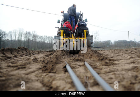 Ernte Hände Werk neue Spargelpflanzen auf einem Feld in Raesfeld, Deutschland, 16. April 2013. Größere Quanitities von Spargel kann auf den Märkten der Woche bis zum Ende der Woche erwartet werden. Freiem Himmel Saison nur beginnt etwa zwei Wochen später als im Vorjahr. Foto: CAROLINE SEIDEL Stockfoto