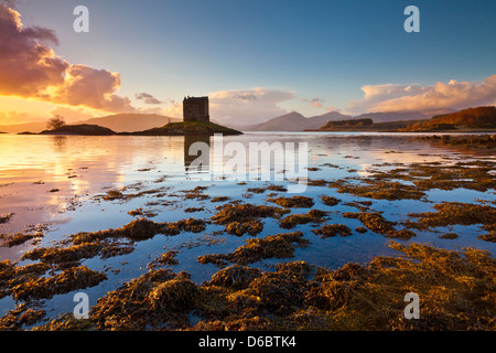 Silhouette bei Sonnenuntergang der schottischen Highlands Castle Stalker Loch Laich Loch Linnhe Port Appin Argyll, Schottland, UK, GB, EU, Europa Stockfoto