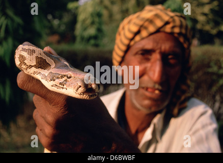 Snake Charmer hält ein Python mit einem Mund Fehlbildung (Indien) Stockfoto