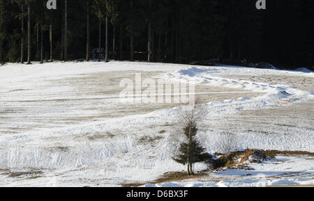 Die diese Schicht Schnee bedeckt die Loipe im Schwarzwald im Schwarzwald, Deutschland, 3. Januar 2012. Die Nordische Kombination Weltcup war dort am Wochenende stattfinden soll, aber zum Freibergsee aufgrund mangelnder Schnee verlegt werden. Foto: PATRICK SEEGER Stockfoto